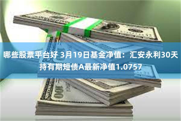 哪些股票平台好 3月19日基金净值：汇安永利30天持有期短债A最新净值1.0757