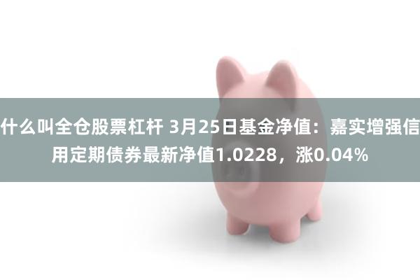 什么叫全仓股票杠杆 3月25日基金净值：嘉实增强信用定期债券最新净值1.0228，涨0.04%