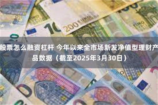 股票怎么融资杠杆 今年以来全市场新发净值型理财产品数据（截至2025年3月30日）