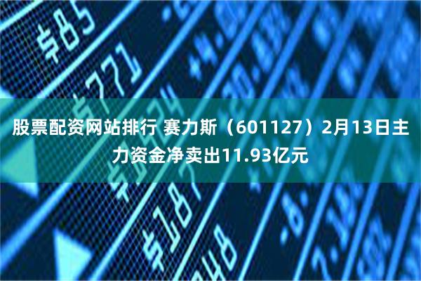 股票配资网站排行 赛力斯（601127）2月13日主力资金净卖出11.93亿元